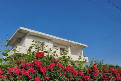 Image de Green Villa