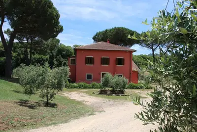 Image de Villa moderne avec piscine à Manziana