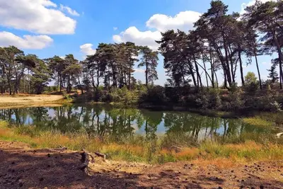 Image de Chalet en bois près de De Veluwe