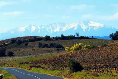 Image de Les Lavandières, maison de village au cœur du pays Cathares