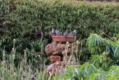 Image de Woody Grange Chalets