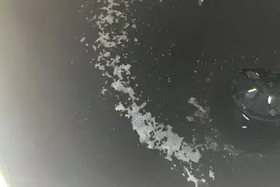 Image de Leopold missouri