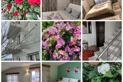 Image de Beautiful 1-Bed House in Korce