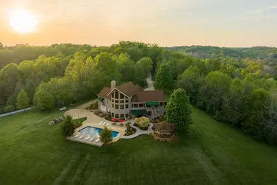 Among the Trees - The Lodge