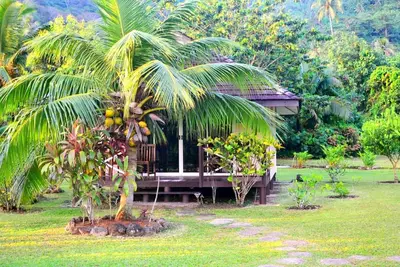 Image de Tahaa - Bungalow Te Tiare