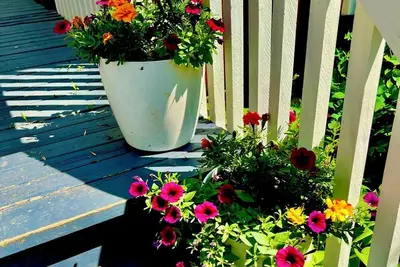 Image de Crescent Heights Majesty