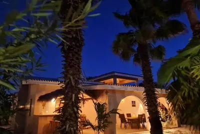 Image de 13 Palm Tree by Bonaire Paradise