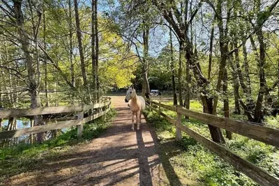 Image de Exclusive vacation apartment on a horse farm, quiet & close to nature