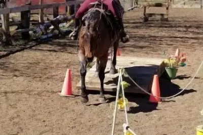 Image de Family rental: all available rooms spaces\n