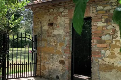 Image de \"The Grain\"