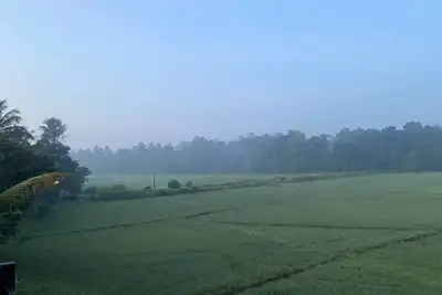 Image de Nestled into a quiet comfy paradise! \n\nJust 12km from Katunayake Intl. Airport.