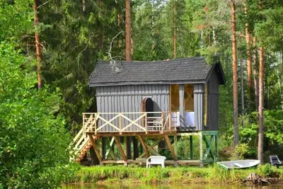 Image de Dragon house in the tree. Sauna/Hot tube.