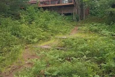 Image de Cozy Cabin in woods! Minden area! Very quiet, private! On Little Gull Lake.