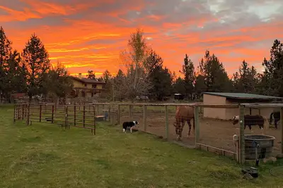 Image de Beautiful strawbale home