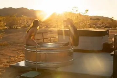 Image de Dagger Tree Oasis by Homestead Modern