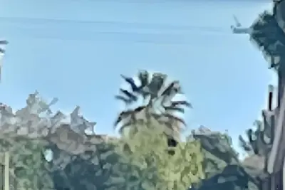 Image de HocApartments 100 meters from the sea-350mt (1minute) walk from Corso principle