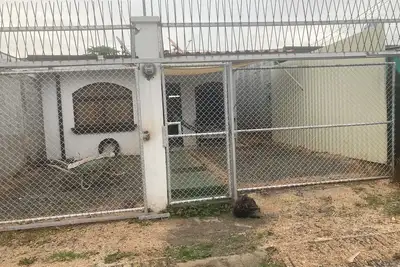 Image de house friends families