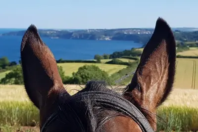 Image de Tranquil Setting in Countryside yet Easy Reach of the Quaint Village of Shaldon