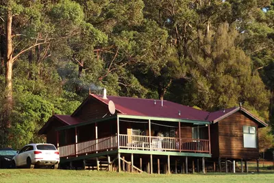 Image de Cabins nestled in 170 acres of old growth forest near the Valley of the Giants.