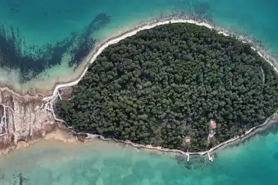 Image de New vacation home with 2 terraces, right by the sea - a dream surrounded by forest