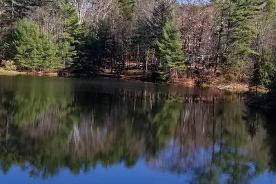 Image de Streamside Mountain Lodge