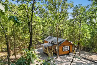 Image de New Listing Tiny cabin, full kitchen, private back deck, fire pit, near lake