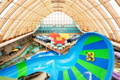 Image de Family-Friendly Resort with Indoor Waterpark! Spacious Family Room with Patio!