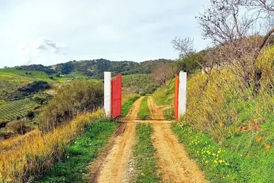 Image de Tenuta Balabaia: Shōgun Suite