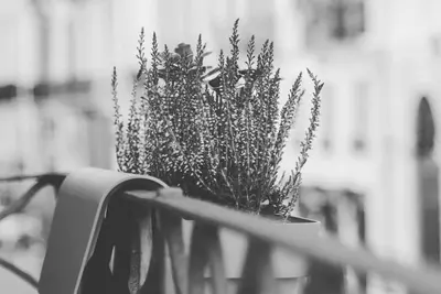 Image de Suite Matilde Historical Center of Verona