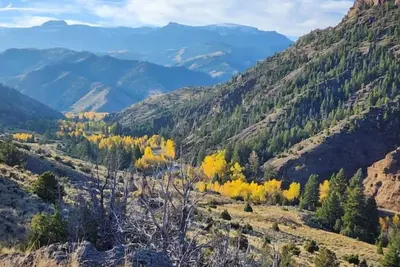 Image de Easy Living ~ Easy Playing, just a 5 minute walk from down town Cody.