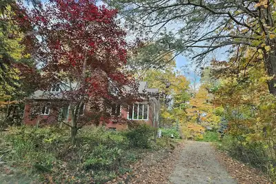 Image de Nestled In The Woods