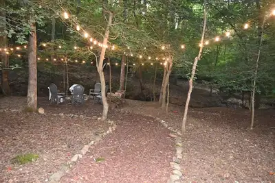 Image de Welcome to Bear Necessities!