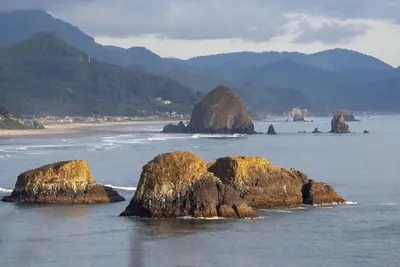 Image de Catch Waves Steps Away! Pet-friendly Property, Kitchenette, Free Parking!