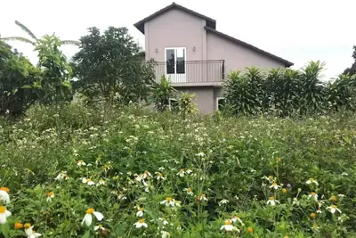 Image de The Lavie' Homestay- on Mountain