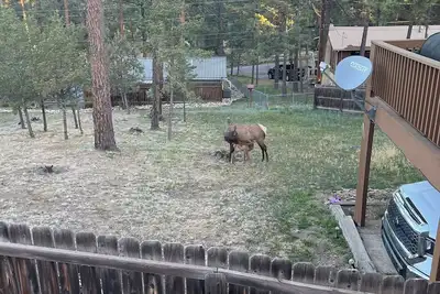 Image de Close To Everything Ruidoso Has To Offer