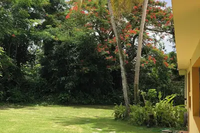 Image de Country in the City. Surround by nature. Close  driving to places to enjoy Pr.