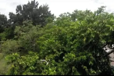 Image de Apartamento Espectacular