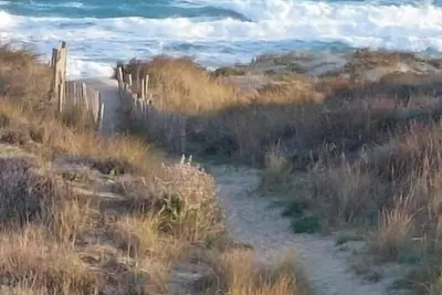 Image de Dépaysement en bord de mer