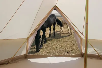 Image de Glamping 2 + Luz de las Estrellas en el Rancho