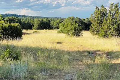 Image de Under The Stars Colorado campground. 420. Bring Your Tents! Lots of trees.