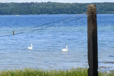 Image de \"Akule\" - 50m from the sea by Interhome