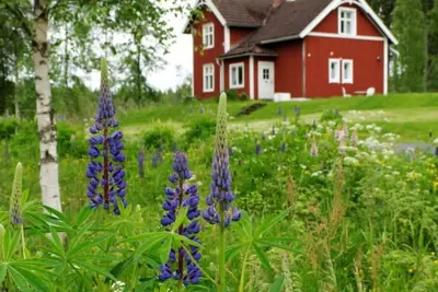 Image de Cabin in Småland with secluded location
