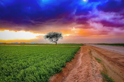 Image de Friendly service and value in south central Los Angeles! !