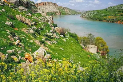 Image de Friendly service and value in eastern Los Angeles county! !