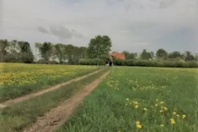 Image de Large traditional wooden house from the 19th century