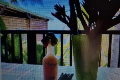 Image de Chalet  tobago vue mer panoramique