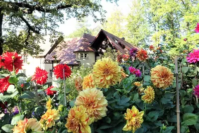 Image de Stilvolles Apartment mit Finnischer Blockhaussauna im Wald
