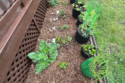 Image de Main St Bungalow Near Lake