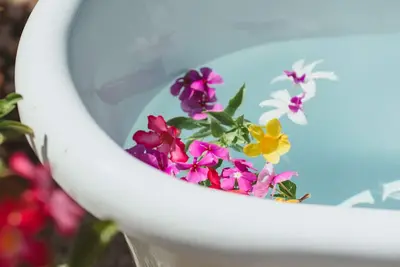 Image de Fare Ofe, Paradis Naturel Séjour Relaxant Près de la Plage de Temae 🇵🇫