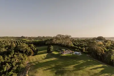 Image de Daybreak Forest - A luxurious escape in Clunes